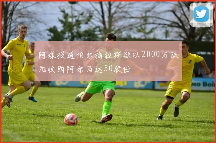 阿媒报道帕尔梅拉斯欲以2000万欧元收购阿尔马达50股份